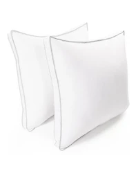 Superior Gusseted 2 Pack Pillows