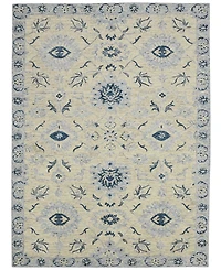 Amer Rugs Romania Newburg 5' x 8' Area Rug