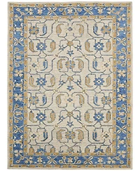 Amer Rugs Romania Pecos 5' x 8' Area Rug