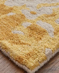 Feizy Everley R8646 5' x 8' Area Rug