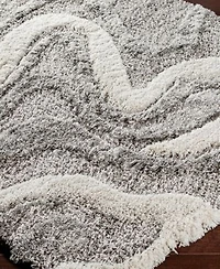 Livabliss Alta Shag Asg2303 Area Rug