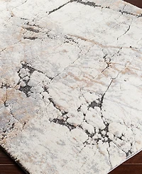 Livabliss Tuscany TUS2314 5'3" x 7'3" Area Rug