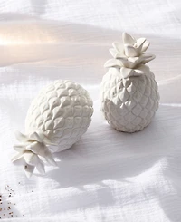 Lenox Wicker Creek Pineapple Salt Pepper Set, Set of 2