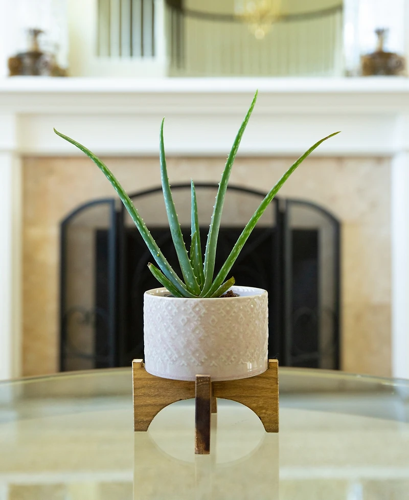 Flora Bunda India Ceramic Planter on Wood Stand, 6.25"