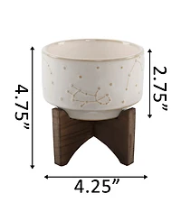 Flora Bunda Constellation Ceramic Planter Pot on Wood Stand