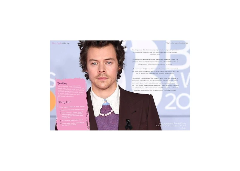 Harry Styles: Adore You by Danann Publishing