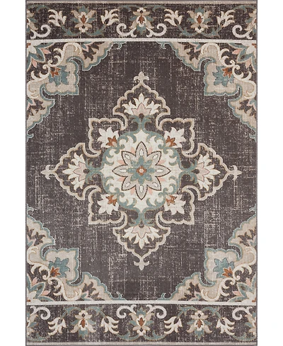 Closeout! Lr Home Heirloom HRL81461 5'3" x 7'10" Outdoor Area Rug