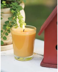 Large Veriglass Tangerine Lemongrass Fragrance Jar Candle