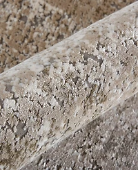 Feizy Cadiz R39FW 3'1" x 10' Runner Area Rug