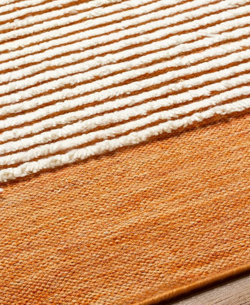 Livabliss Apache Apa-2309 2" x 3' Area Rug