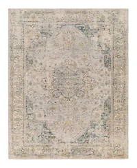 Livabliss Aspendos Aps 2303 Area Rugs