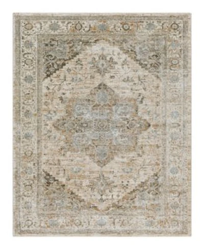Surya Brunswick Bwk 2320 Area Rugs