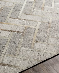 Surya Medora Mod-1026 2' x 3' Area Rug