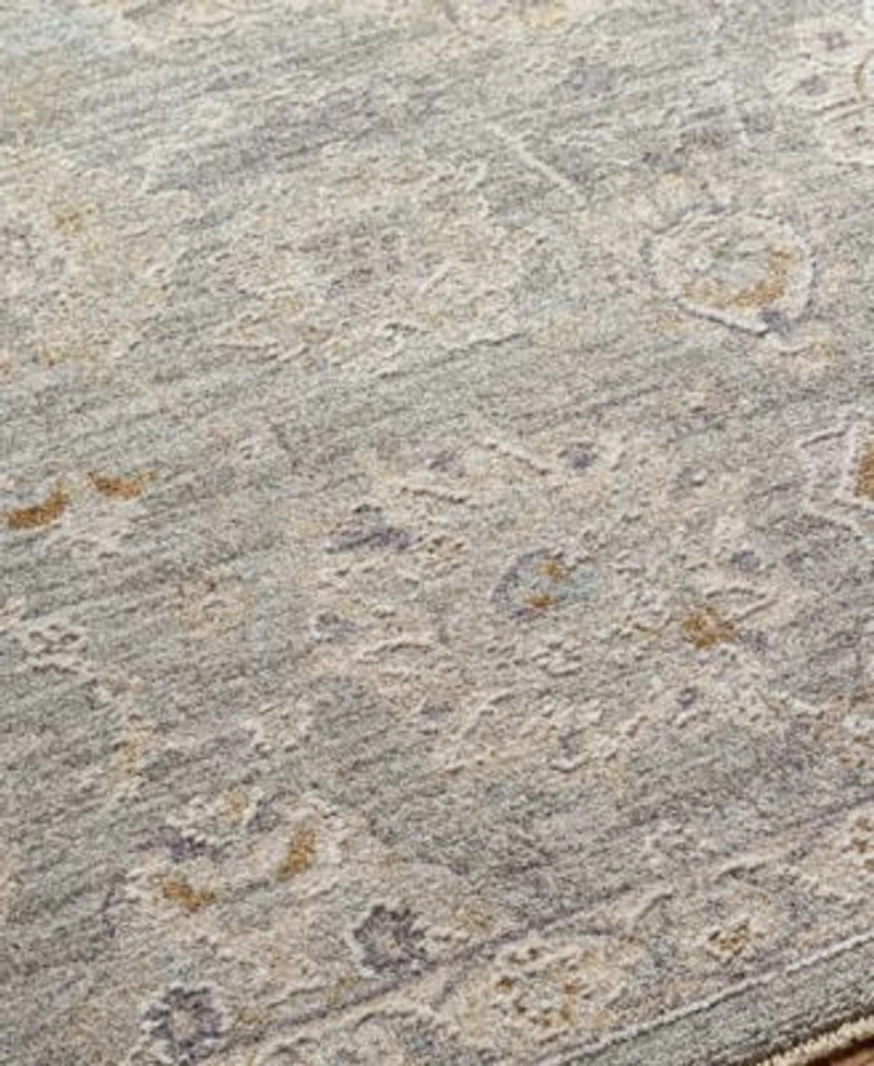 Livabliss Avant Garde Avt 2335 Area Rugs
