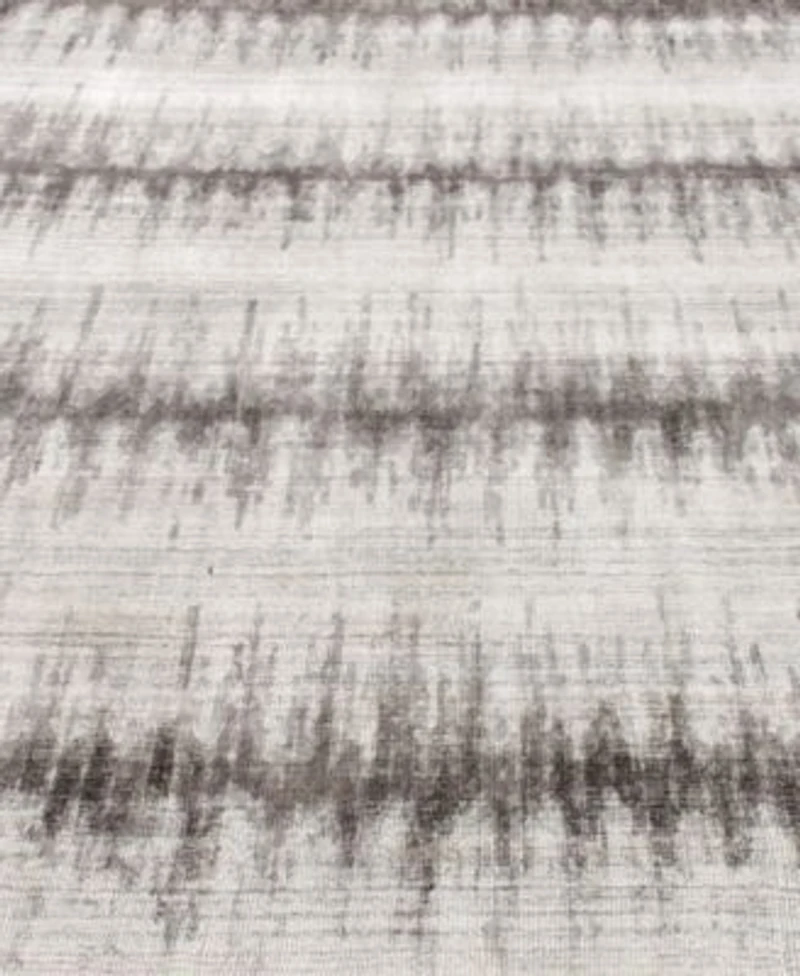 Exquisite Rugs Chroma Er4494 Area Rug