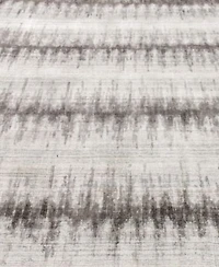 Exquisite Rugs Chroma Er4494 Area Rug