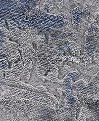 Exquisite Rugs Reflections ER2533 8' x 10' Area Rug