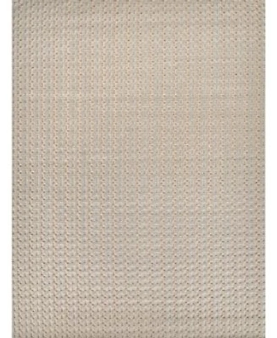 Exquisite Rugs Monroe Er3961 Area Rug