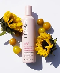 Fekkai Technician Color Shampoo