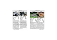 Florida Wildlife Encyclopedia