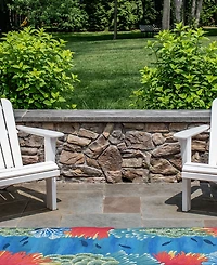 Liora Manne' Visions Iv Reef Border 2'3" x 8' Runner Outdoor Area Rug