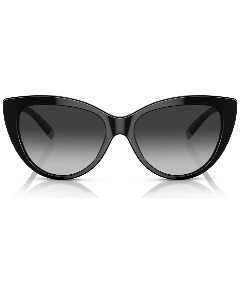 Tiffany & Co. Women's Sunglasses