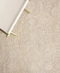 Exquisite Rugs Meena Er2469 Area Rug