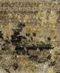 Oriental Weavers Bauer 2061x Area Rug