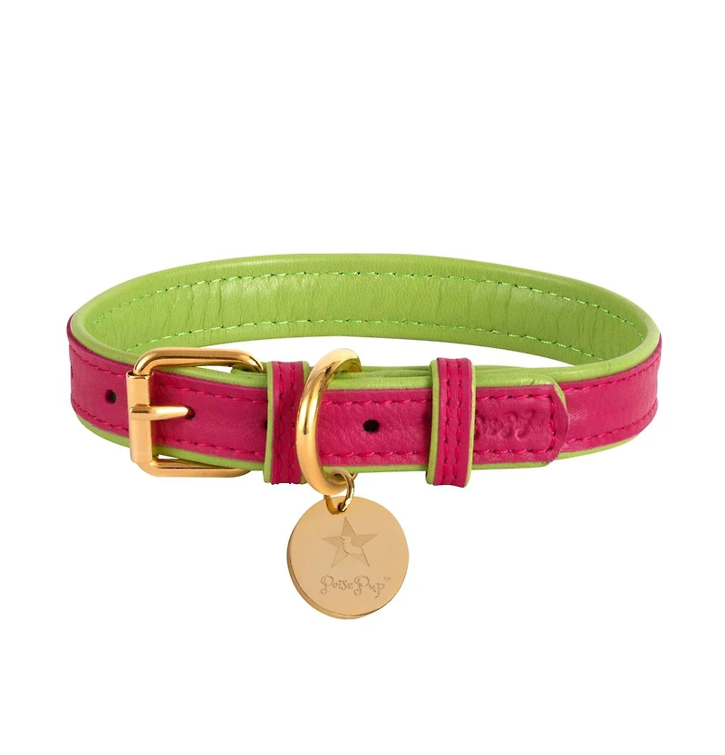 PoisePup Pet Dog Collar - Candy Swirl