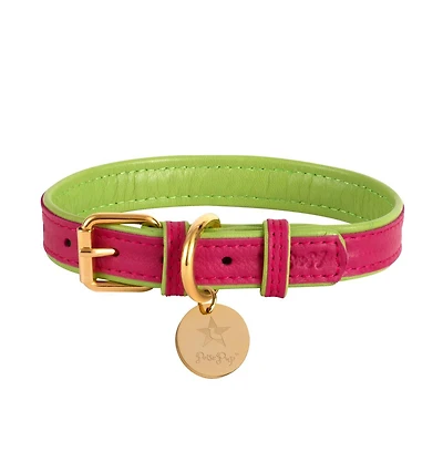 PoisePup Pet Dog Collar - Candy Swirl