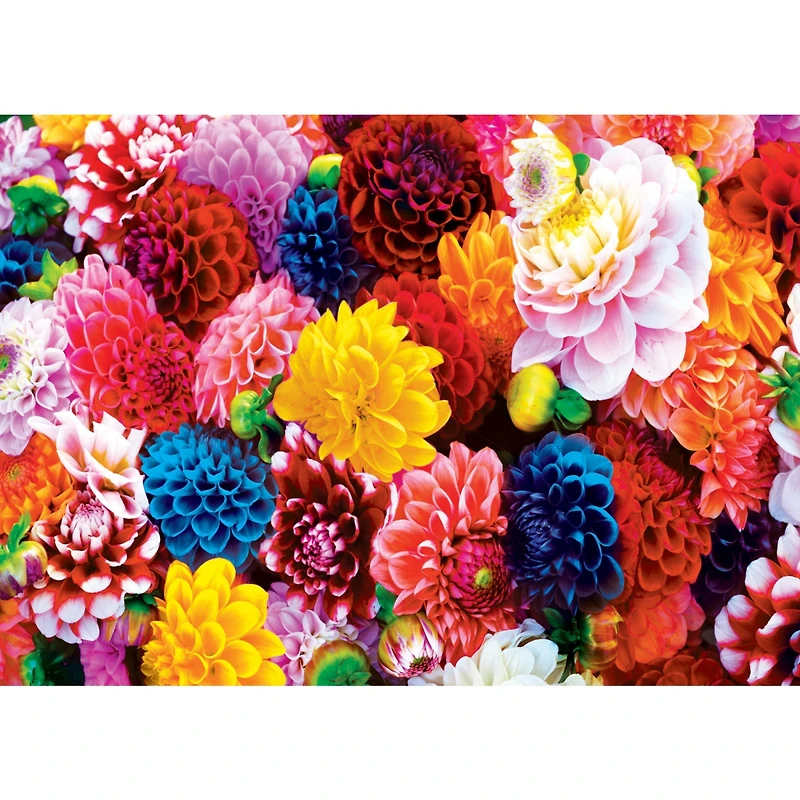 Brilliance - Beautiful Blooms 550 Piece Adult Jigsaw Puzzle