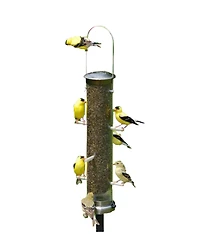 Aspects ASP400 Quick Clean Nyjer Tube Bird Feeder Brushed Nickle