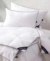 Brooks Brothers Goose Feather & Down Filled Comforter, Queen