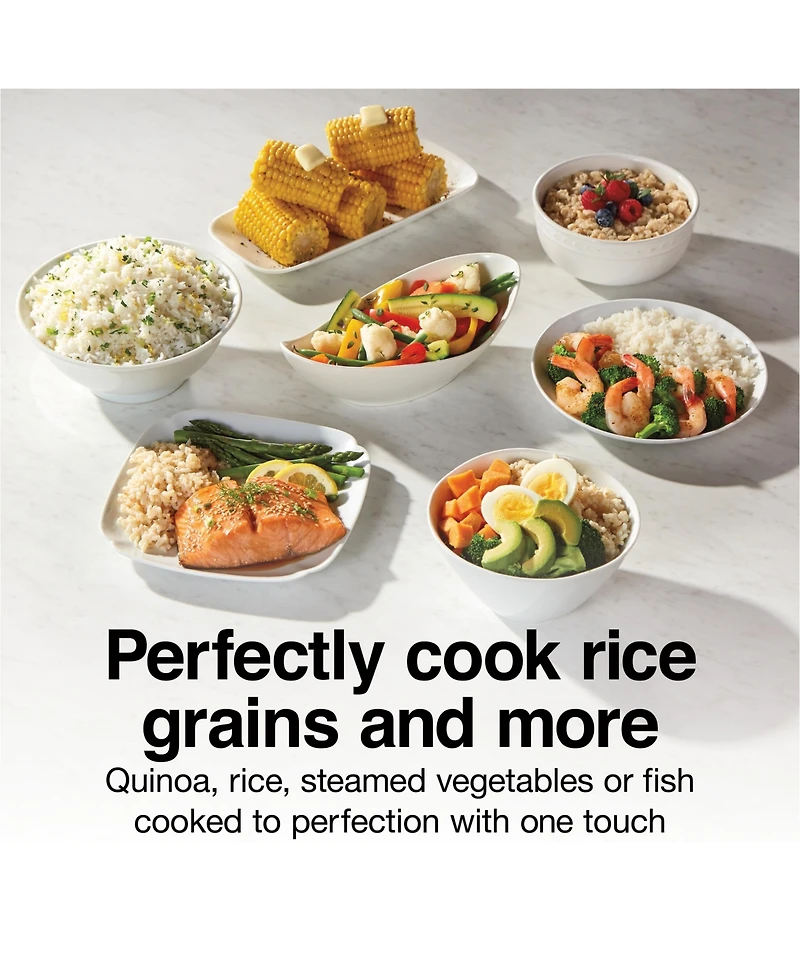 Proctor Silex 16 Cup Rice Cooker and Steamer - 37527