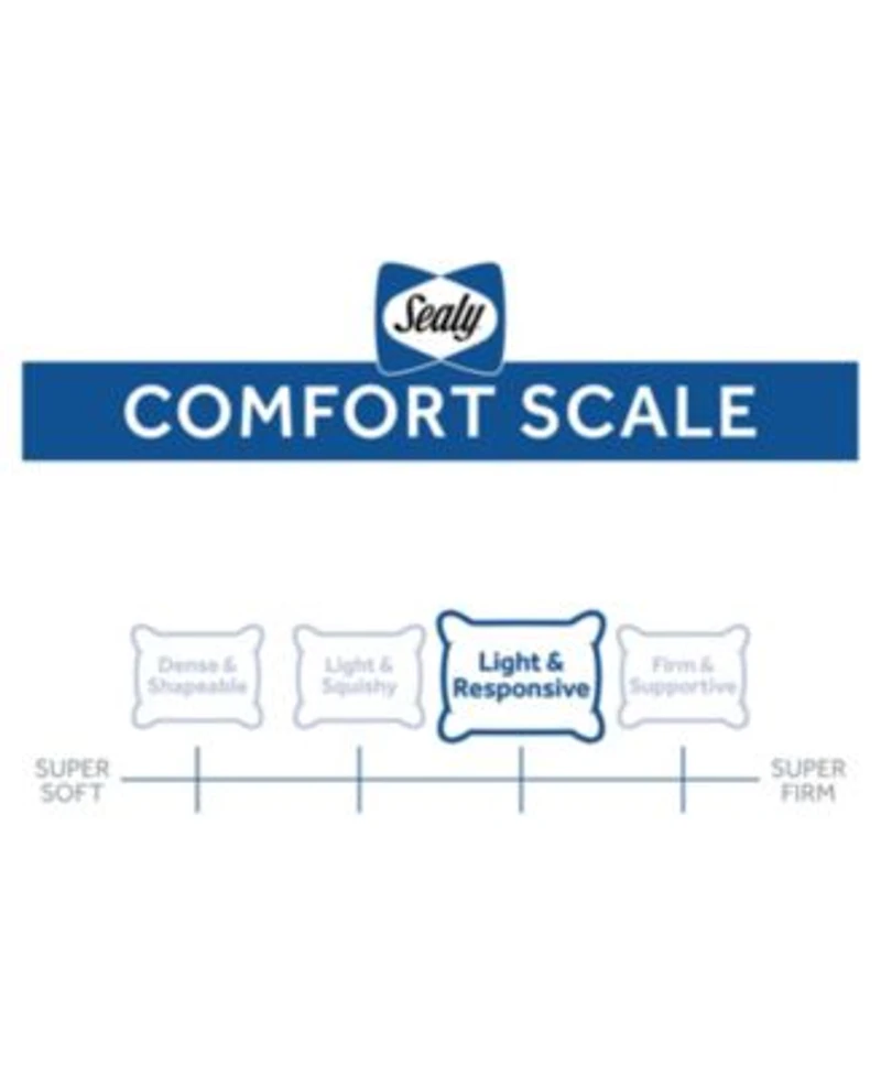 Sealy 100 Cotton All Positions Pillows