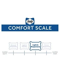 Sealy 100 Cotton All Positions Pillows