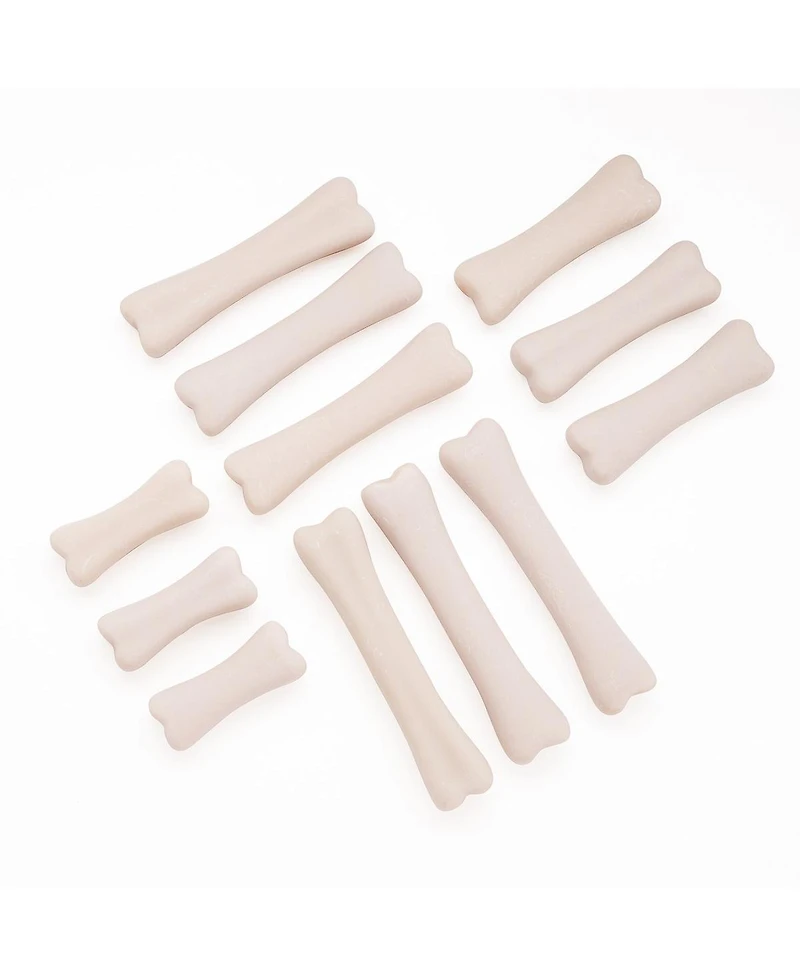 Yellow Door Dinosaur Bones Discovery, Set of 12