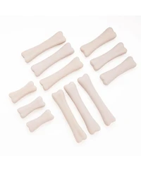 Yellow Door Dinosaur Bones Discovery, Set of 12