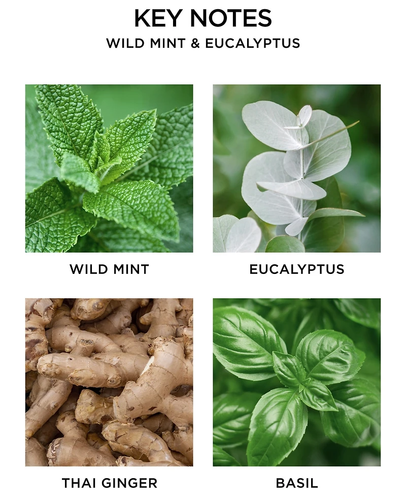 Nest New York Wild Mint & Eucalyptus 3-Wick Candle, 21.1 oz.