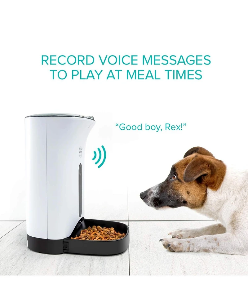 Arf Pets Automatic Pet Feeder, Food Dispenser for Dogs with Timer