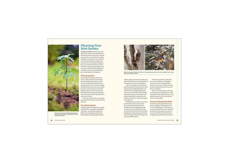 100 Plants to Feed the Birds- Turn Your Home Garden into a Healthy Bird Habitat by Laura Erickson