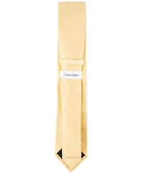 Calvin Klein Men's Etched Windowpane Tie