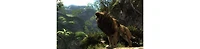 Cabela's Dangerous Hunts 2013 - Nintendo Wii-u