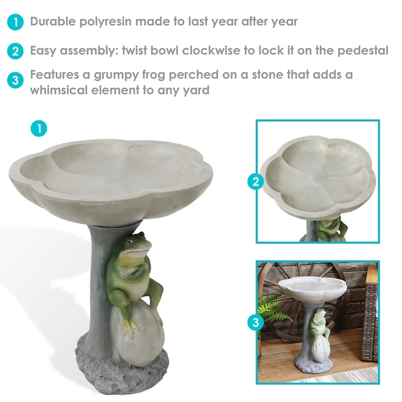 Brooding Frog on a Stone 22-Inch H Polyresin Bird Bath