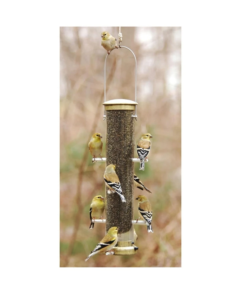 Aspects (ASP402) Quick-Clean Nyjer Tube Bird Feeder, Medium, Antique Brass