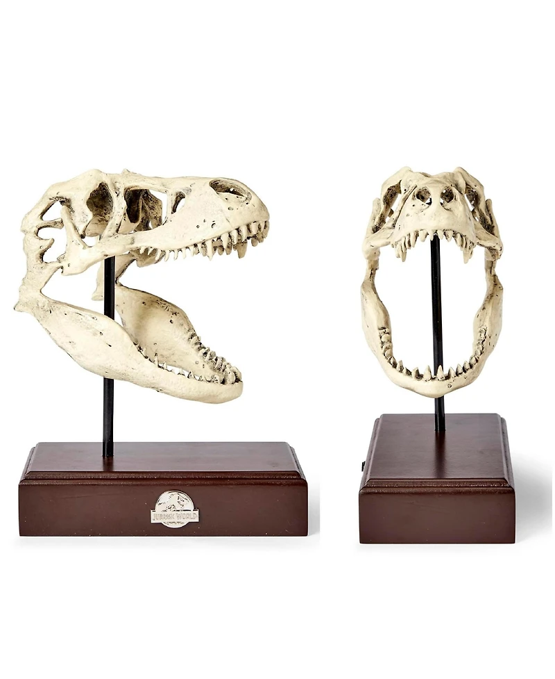 Surreal Entertainment Jurassic World Tyrannosaurus Rex Skull Resin Replica - 9x8-Inch TRex Dinosaur Head Statue