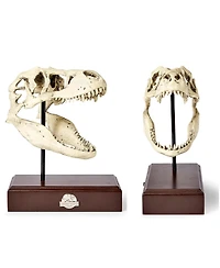 Surreal Entertainment Jurassic World Tyrannosaurus Rex Skull Resin Replica - 9x8-Inch TRex Dinosaur Head Statue