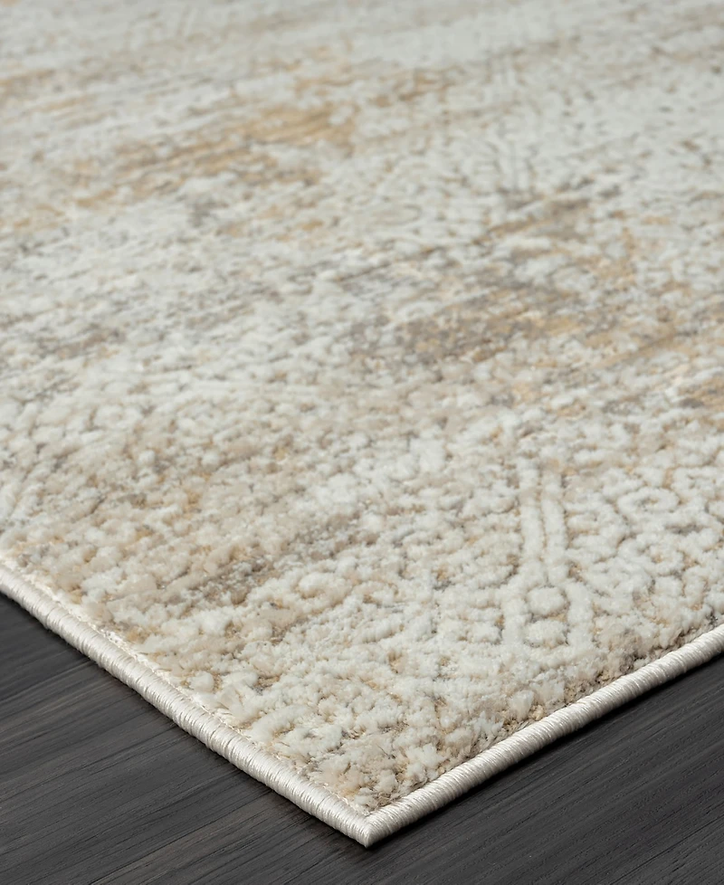 Lr Home Bienne BIENA283 5' x 7'11" Area Rug