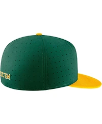 Men's Nike Green Baylor Bears Aero True Baseball Performance Fitted Hat