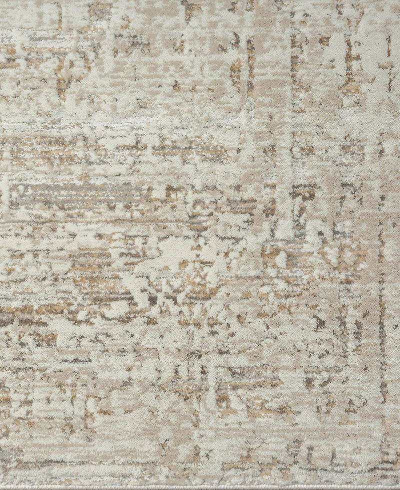 Lr Home Bienne BIENA284 4' x 6' Area Rug